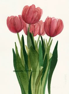 watercolor painting of pink tulips in a vase with green stems and leaves