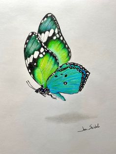 two green and blue butterflies flying side by side