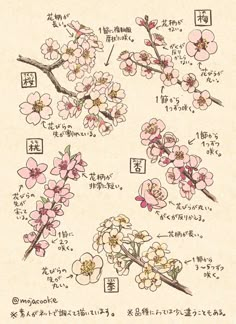 Spring Drawing, Art Chinois, Flower Drawing Tutorials, Posca Art, Arte Sketchbook, Art Tutorials Drawing, Drawing Reference Poses, Art Tips