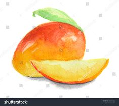 watercolor painting of an orange and apple with green leaf on white background stock photo