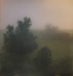 a foggy field with trees in the distance