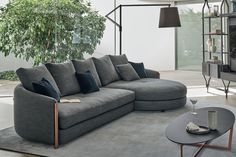 a living room with a couch, coffee table and potted plant in the corner