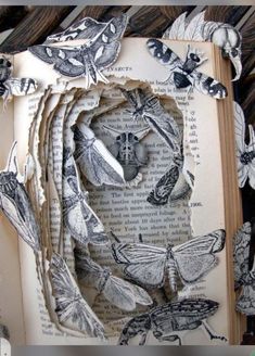 an open book with paper cut out of it's pages and moths on the pages