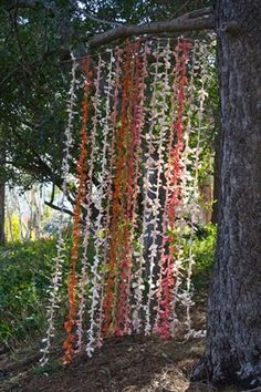 a tree that has some string hanging from it