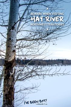 there is a tree in the foreground and a lake in the background with words on it