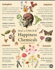 Happiness Chemicals, Mood Stabilizer, Ayurveda Life, Herbs Garden, Energy Healing Spirituality, Herbal Magic