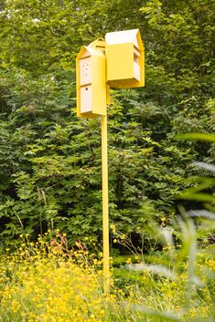 a yellow mailbox sitting in the middle of a forest