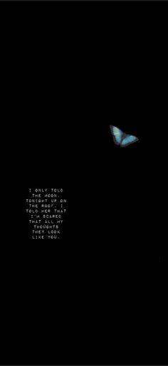 an image of a butterfly flying in the night sky with words written below it that spell out something