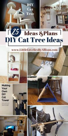 there are many different types of cat trees in the house and on the floor, with text overlay that reads 25 ideas & plans for diy cat tree ideas