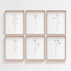 four pink flowers are arranged in square wooden frames on the wall, with white background