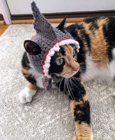 a calico cat wearing a knitted hat on the floor