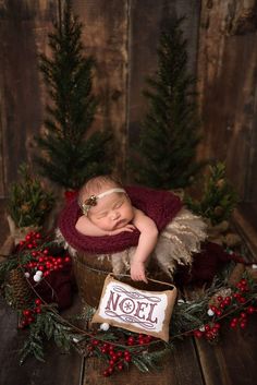 a newborn baby sleeping in a bucket surrounded by christmas wreaths and pine cones with the word noel on it