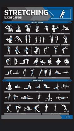 a poster showing the different types of people doing exercises