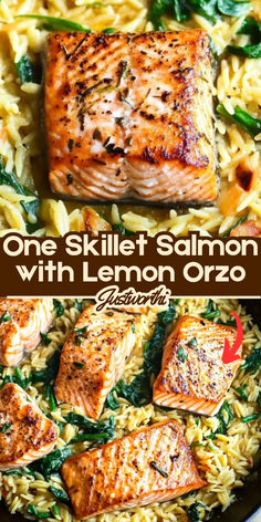 one skillet salmon with lemon orzo