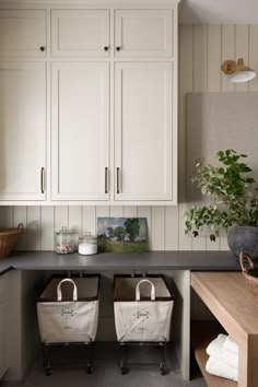 two baskets sitting on top of a kitchen counter next to a plant in a vase