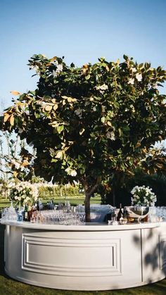 an outdoor bar with drinks on it and a tree in the backgrounge