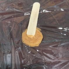 a wooden stick sticking out of a plastic bag