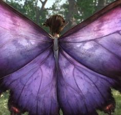 a large purple butterfly sitting on top of a lush green field