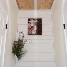 a cow is hanging on the wall next to a vase with some flowers in it