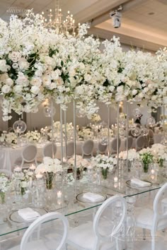 the tables are set with clear chairs and white flowers in tall vases on them