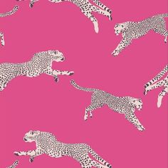 a pink background with cheetah and leopards on the same wallpaper pattern