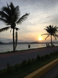 the sun is setting behind two palm trees on the side of the road by the water