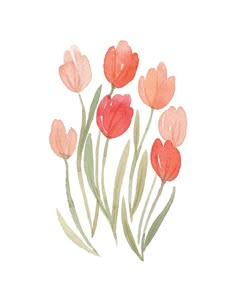 watercolor painting of pink and red tulips