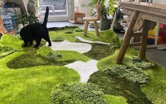 a black cat walking across a lush green rug