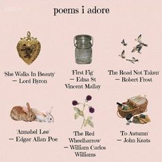 there are many different types of items on this page to describe what is in the poem