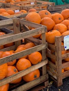 several wooden crates filled with lots of orange pumpkins