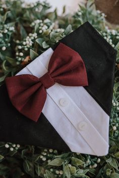 a red bow tie on top of a black and white shirt with flowers in the background