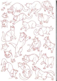 a drawing of cats with different poses and expressions on it's back side, including the