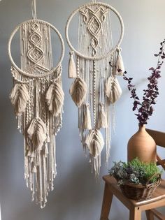 two macrame dream catchers hanging on the wall next to a potted plant