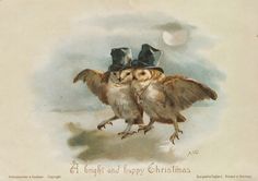 two owls wearing hats and holding each other