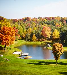 a lake surrounded by lots of trees in the middle of a green field with boats on it