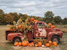 an old truck with pumpkins and sunflowers in the bed