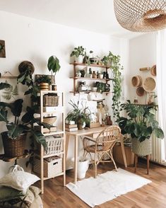 a room filled with lots of potted plants next to a wooden table and chair