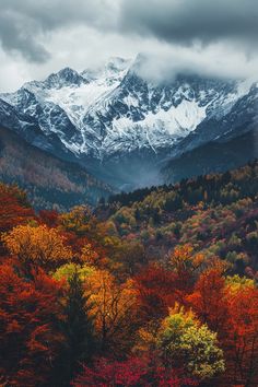 the mountains are covered in snow and trees with colorful leaves on them, under a cloudy sky