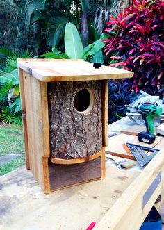 a bird house built on top of a piece of wood with tools around it and trees in the background