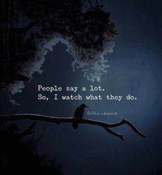 a bird sitting on top of a tree branch at night with the words people say a lot so, i watch what they do