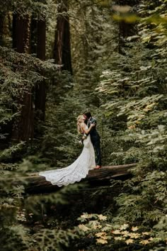 a bride and groom standing on a fallen log in the middle of a wooded area