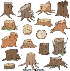 the different types of tree stumps are shown in this drawing technique, which is easy to draw and color