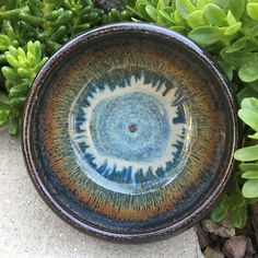 a blue and brown bowl sitting on top of a cement ground next to green plants