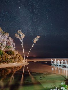 the night sky is reflected in the water near a dock and tree lined shore line