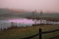 a foggy field with a pond in the foreground