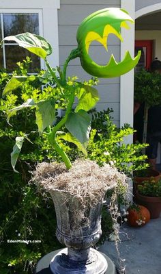 a potted plant in front of a house with the word batman painted on it