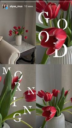 three pictures of red flowers in a white vase with the words god's morning on it