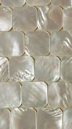 a close up view of white mother of pearl tiles