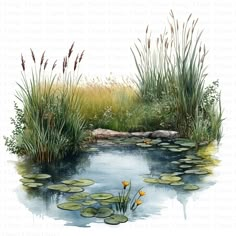 a painting of water lilies and reeds on the edge of a pond surrounded by tall grass