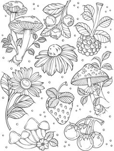 coloring pages for adults with flowers and mushrooms